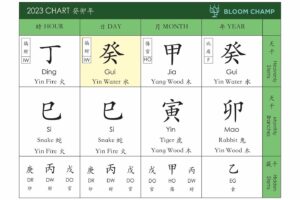 2023 Water Rabbit Year – Heart Mirror